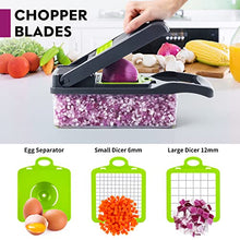 Vegetable Chopper, Pro Onion Chopper, Multifunctional 13 in 1 Food Chopper, Kitchen Vegetable Slicer Dicer Cutter,Veggie Chopper With 8 Blades,Carrot and Garlic Chopper With Container…