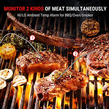 TempPro Wireless Meat Thermometer for Grill with Dual Meat Probe, Remote Meat Thermometer Wireless with Alarm